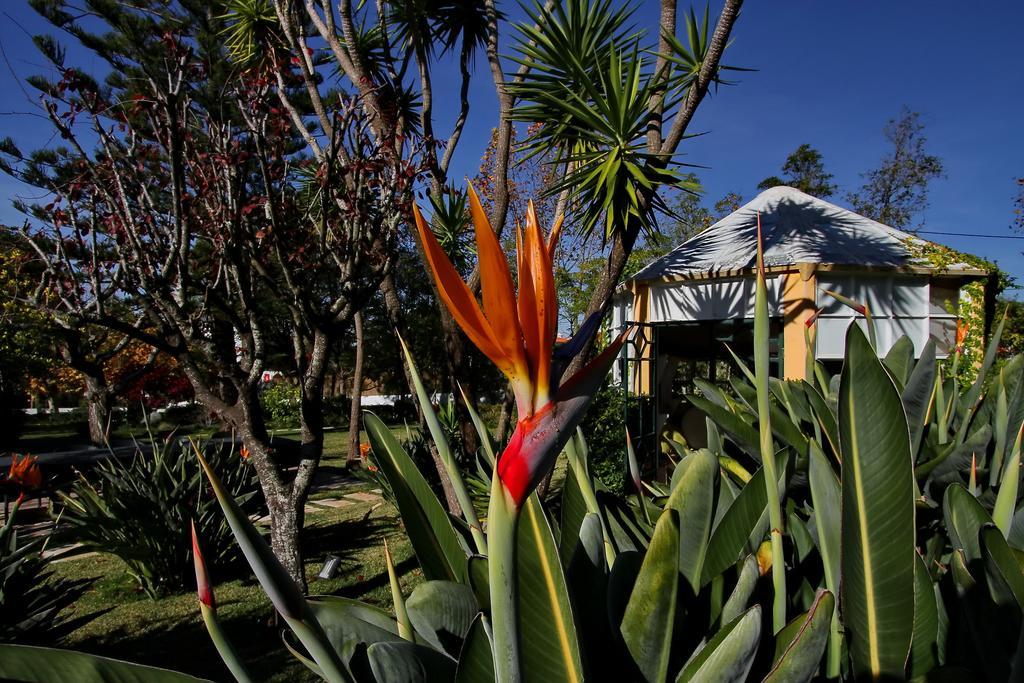 Villa Das Rosas Sintra Buitenkant foto